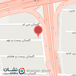 عکس حسین چچنی