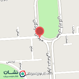 عکس کباب ترکی مخصوص میعاد