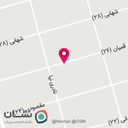 عکس گیشا