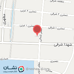 عکس گل کاکتوس 