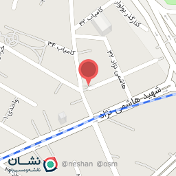 عکس بیمه ایران کد ۳۰۴۲ (حسینی)