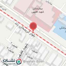 عکس دکتر شهناز پوربرفه ای