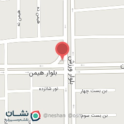 عکس پیتزا سوشیان