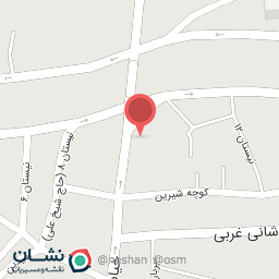عکس پرده سرای رضا
