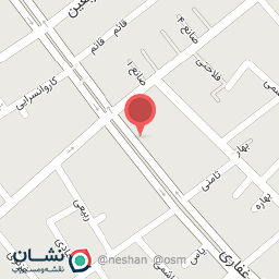 عکس پیتزا سه سوت