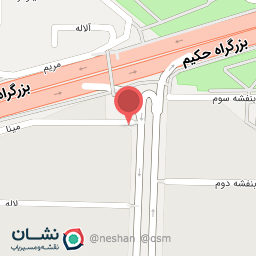 عکس دکتر لیلا سلطانی