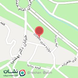عکس عطاری باریجه