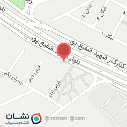 عکس فرش وزرا