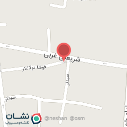 عکس غذا خوری امیر اصلان