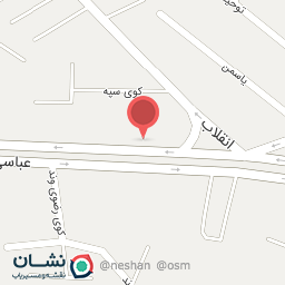 عکس اتوسرویس مینائی