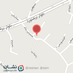 عکس دکتر هدیه رونقی