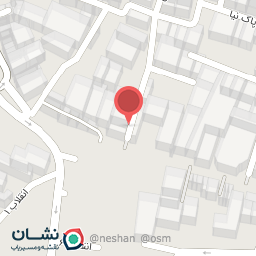 عکس پیتزا فلافل جنوب