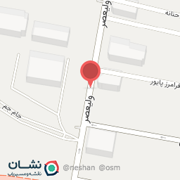 عکس دکتر فاطمه ثمنی