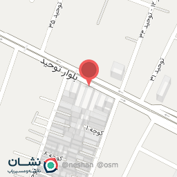 عکس تهیه غذا گل نرگس