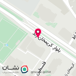 عکس برق منطقه ای فارس