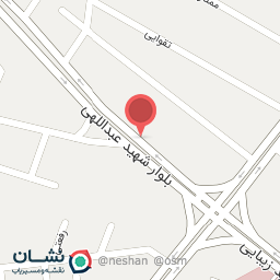 عکس ساندویچی و فست فود تکسان