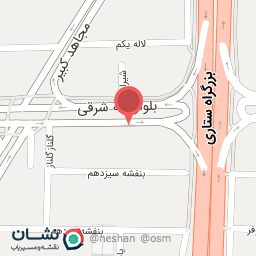 عکس آریانا پارس