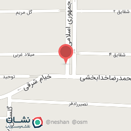 عکس تاکسی سواری ماکسیم