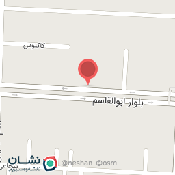 عکس مکانیکی و جلوبندی سازی شکاری