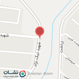 عکس شهید نیک نژاد