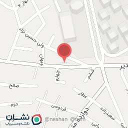 عکس کیف وکفش پاسارگاد