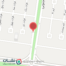 عکس کباب رضا