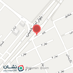 عکس الکتریکی بهار