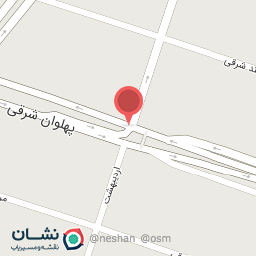 عکس پیتزا ساندویچ پهلوان