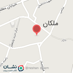 عکس کیف و کفش احسان