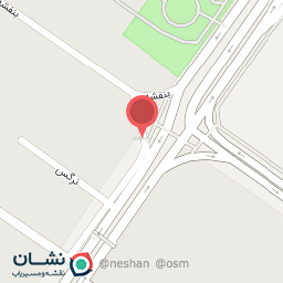 عکس آقای تشریفات 