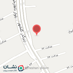 عکس فروشگاه چرم داریوش