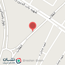 عکس مرغ فروشی ریگی