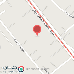 عکس کارواش دامون