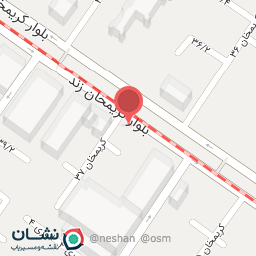 عکس کفش آریا