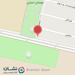 عکس اتوسرویس رضا