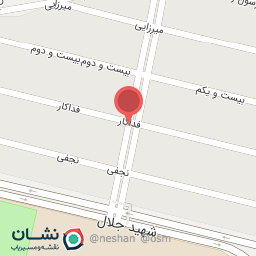 عکس اتو سرویس یزدان