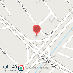 عکس پیتزا ژابیز