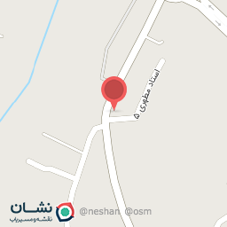 عکس پیتزا دی تو دی