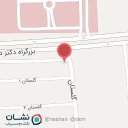 عکس پیتزا ساندویچ تین