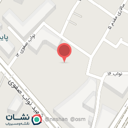 عکس پیتزا نارنج