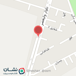 عکس قارچ کده 