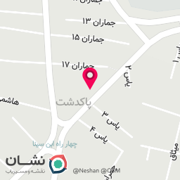 عکس پیتزا دایی
