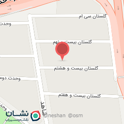 عکس دنیای کفش