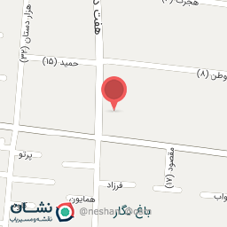 عکس سرپرستی بیمه آسیا اصفهان شعبه باغ نگار