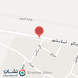 عکس کفش نیز پا