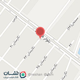 عکس خدمات ناخن مژی