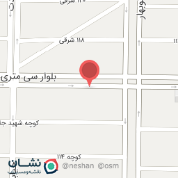 عکس فروشگاه شیلات مرغ پر طلایی 