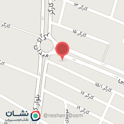 عکس آبمیوه گیری انار لیمو