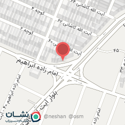 عکس پیتزا خاتون