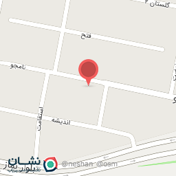 عکس الیکتریکی بهزاد